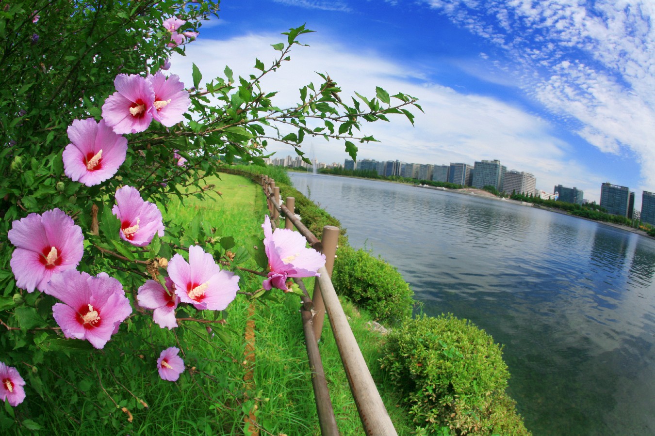 Prize winners – Kim Gwangsu – Rose of Sharon and Lake Park