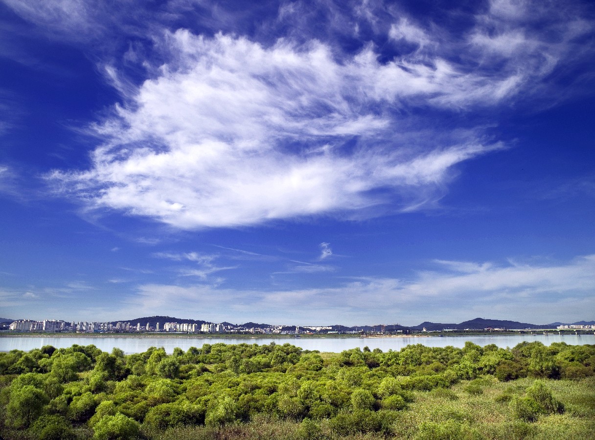 Prize winners – Kim Mira