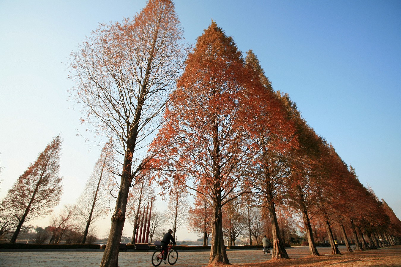 Bronze prize – Kang Heechan – Autumn Street
