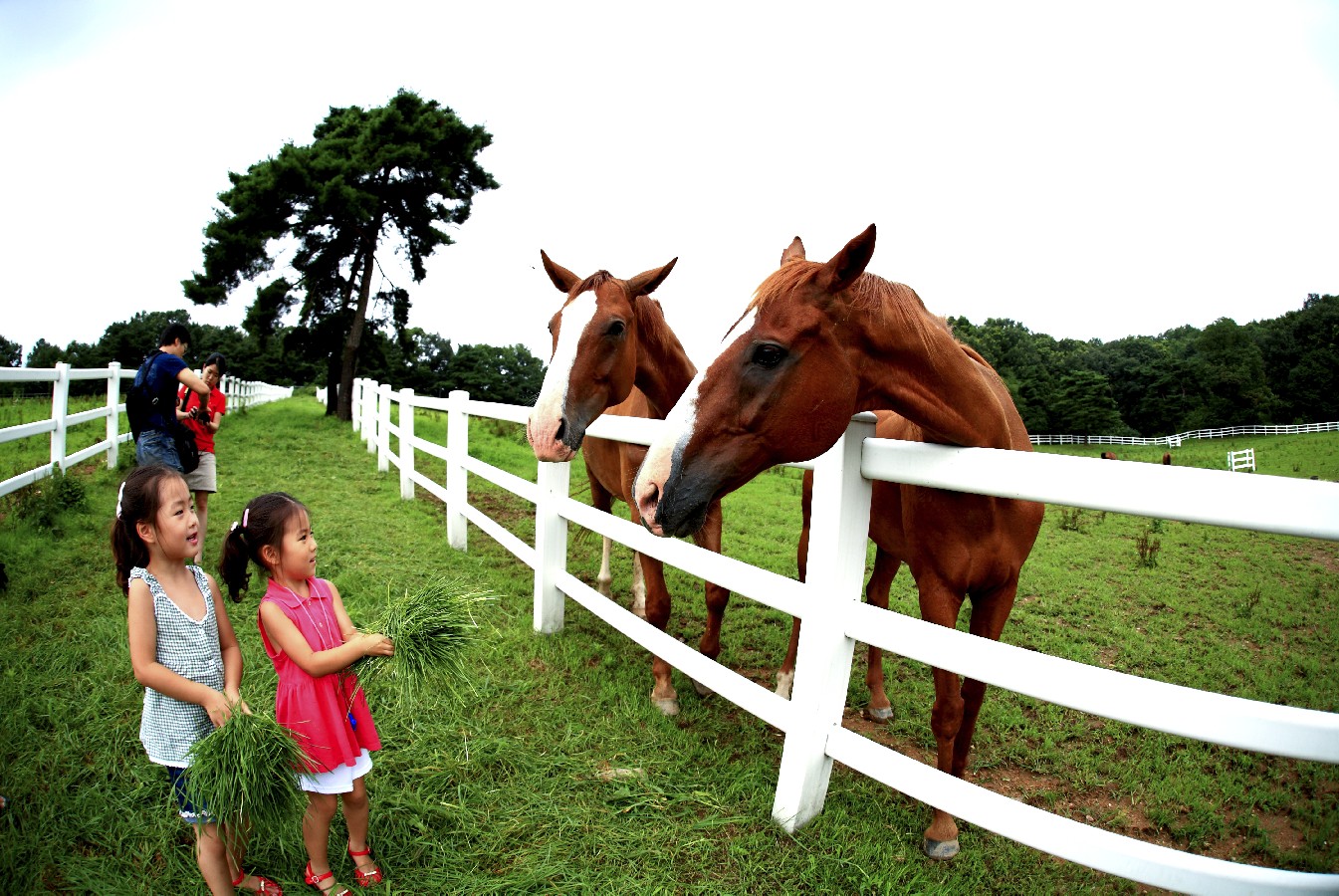 Bronze prize – Jeong Insik – Childhood Innocence