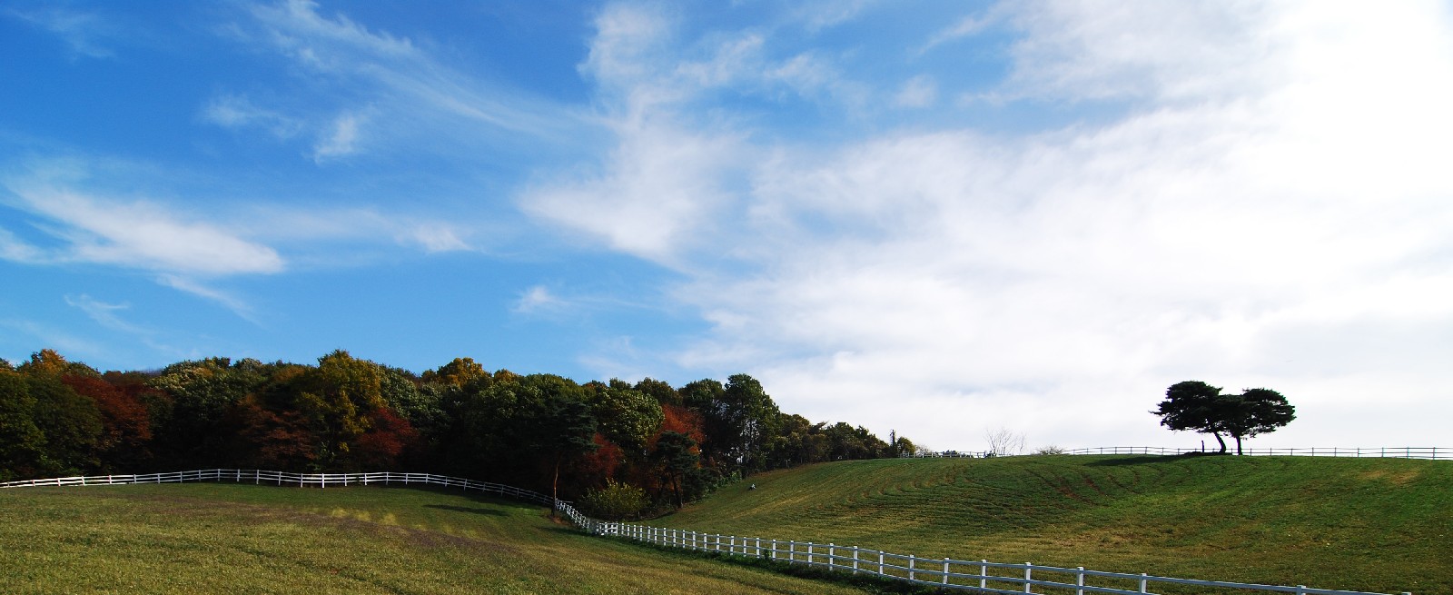 Prize winners – Woo Sangyeong – Grassland