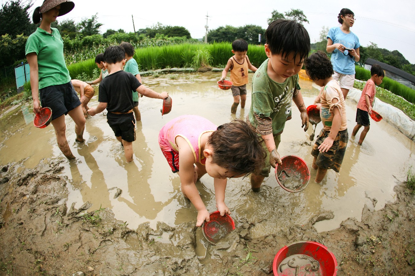 Prize winners – Lee Wongyeong – Catching Loach