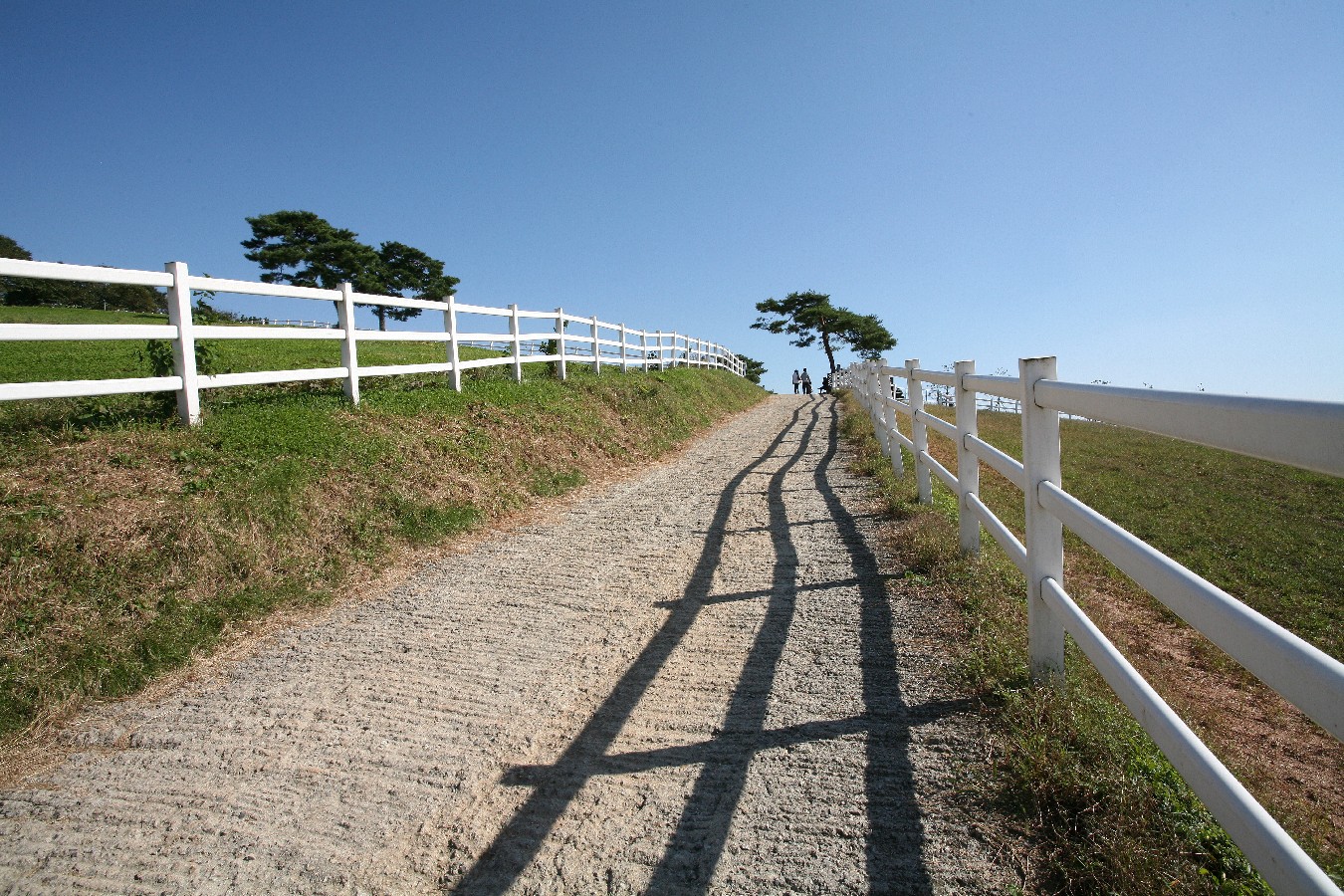 Prize winners – Ji Jonghwan –  Pasture Road