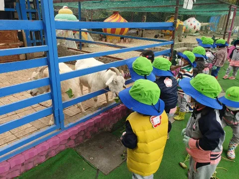 카페이미지