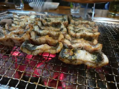 맛집이미지
